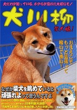 Shiba inu haiku usato  Spedire a Italy