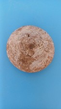 Roman pottery lid for sale  HINCKLEY