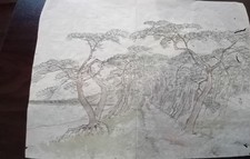 Antico disegno acquarello usato  Vogogna
