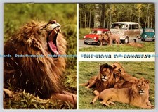 D317659 wiltshire. lions for sale  WARLINGHAM
