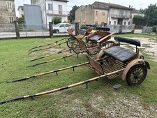 carrozze cavalli usato carrozze cavalli usato Riva del Po