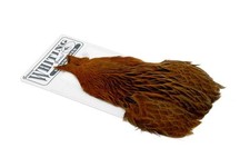 Whiting farms brahma d'occasion  Romans-sur-Isère