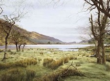 Alan ingham splendid for sale  STAFFORD