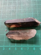 Himalayan black smokey for sale  ABERAERON