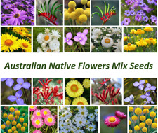 SEMENTES DE FLORES SILVESTRES AUSTRALIANAS DURANTE TODO O ANO comprar usado  Enviando para Brazil