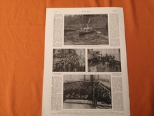 1917 zeitungsdruck 3850 gebraucht kaufen 1917 zeitungsdruck 3850 gebraucht kaufen  Merseburg