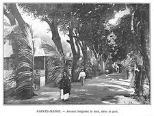 Madagascar ile sainte d'occasion  Les Bordes
