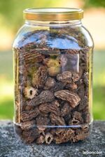 Morilles sechees sauvages d'occasion  Vergt