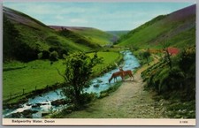 Badgworthy water devon for sale  REDCAR