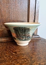 Boscastle pottery flared for sale  THATCHAM