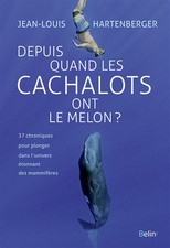Cachalots melon jean d'occasion  France