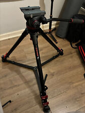 Ifootage wild bull for sale  LONDON