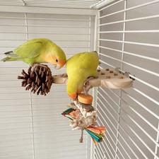 Wooden parrot bird d'occasion  Expédié en Belgium