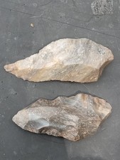 Killer colorado paleo for sale  Canon City