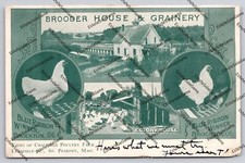 Antique postcard 1907 for sale  Cambridge