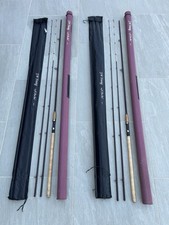 Pair young 12ft for sale  BARNSLEY