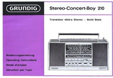 Grundig manuale servizio usato  Trambileno