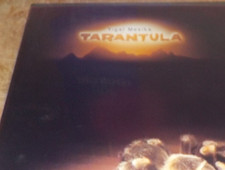 Tarantula yigal mesika for sale  Floral Park