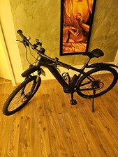 Trek powerfly 2021 gebraucht kaufen  Albstadt