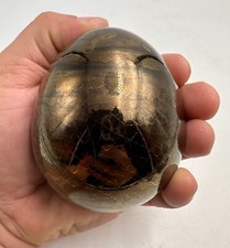 Rare ceramic egg d'occasion  Expédié en Belgium
