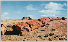 Petrified forest national d'occasion  Expédié en Belgium