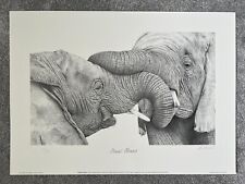 Peter Hildick - Tenis Tonsil - 123-495 na sprzedaż Peter Hildick - Tenis Tonsil - 123-495 na sprzedaż  Wysyłka do Poland