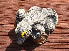 Alligator crocodile small for sale  Pawling