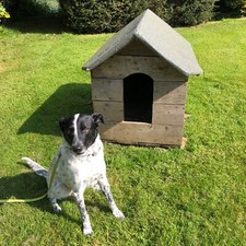 Dog house hand for sale  BATTLE