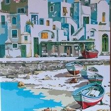 Aldo riso serigrafia usato  San Pier Niceto