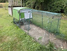 Eglu omlet 2meter for sale  NORWICH