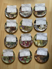 Coalport set garden for sale  MARKET DRAYTON