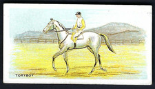 BRITISH AMERICAN (IMPRESSO) - VENCEDORES DA MELBOURNE CUP - TORYBOY comprar usado  Enviando para Brazil