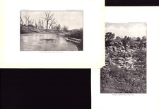 Prints fissure spring for sale  Navarre