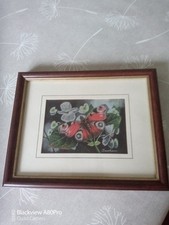 Vintage cash butterfly for sale  GRANTHAM