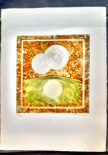 Gravure . fiorini d'occasion Gravure . fiorini d'occasion  Paris IX