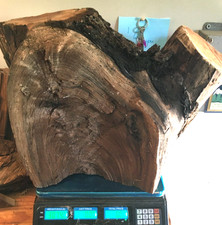 Black walnut blank for sale  Head Waters