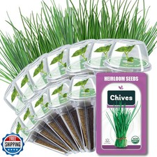 Chives seed pods for sale  San Jose
