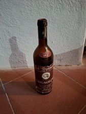 Wine spinosa grignolino usato  Perugia
