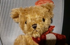 Aurora english teddy for sale  LONDON