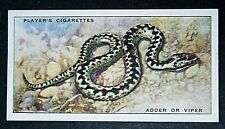 Viper aka adder for sale  DERBY