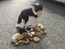 Lovely black white for sale  CARDIFF