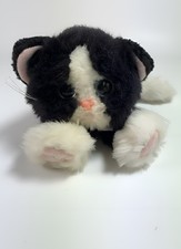 2001 dsi kitty for sale  BIRKENHEAD