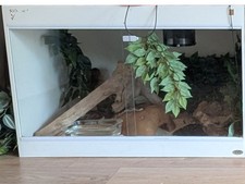 Tvt white vivarium for sale  ST. NEOTS