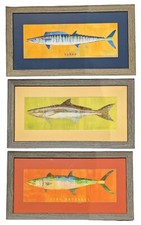 King mackerel wahoo for sale  Duluth