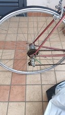 Bici corsa magnum usato  Acerra