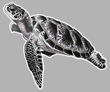 Tortue marine surf d'occasion  Le Val