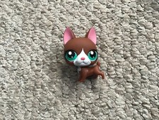 Lps littlest pet for sale  BRISTOL