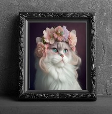 Floral himalayan cat for sale  Hernando