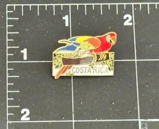 Costa rica parrot for sale  Torrance