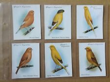 John player aviary for sale  OTTERY ST. MARY